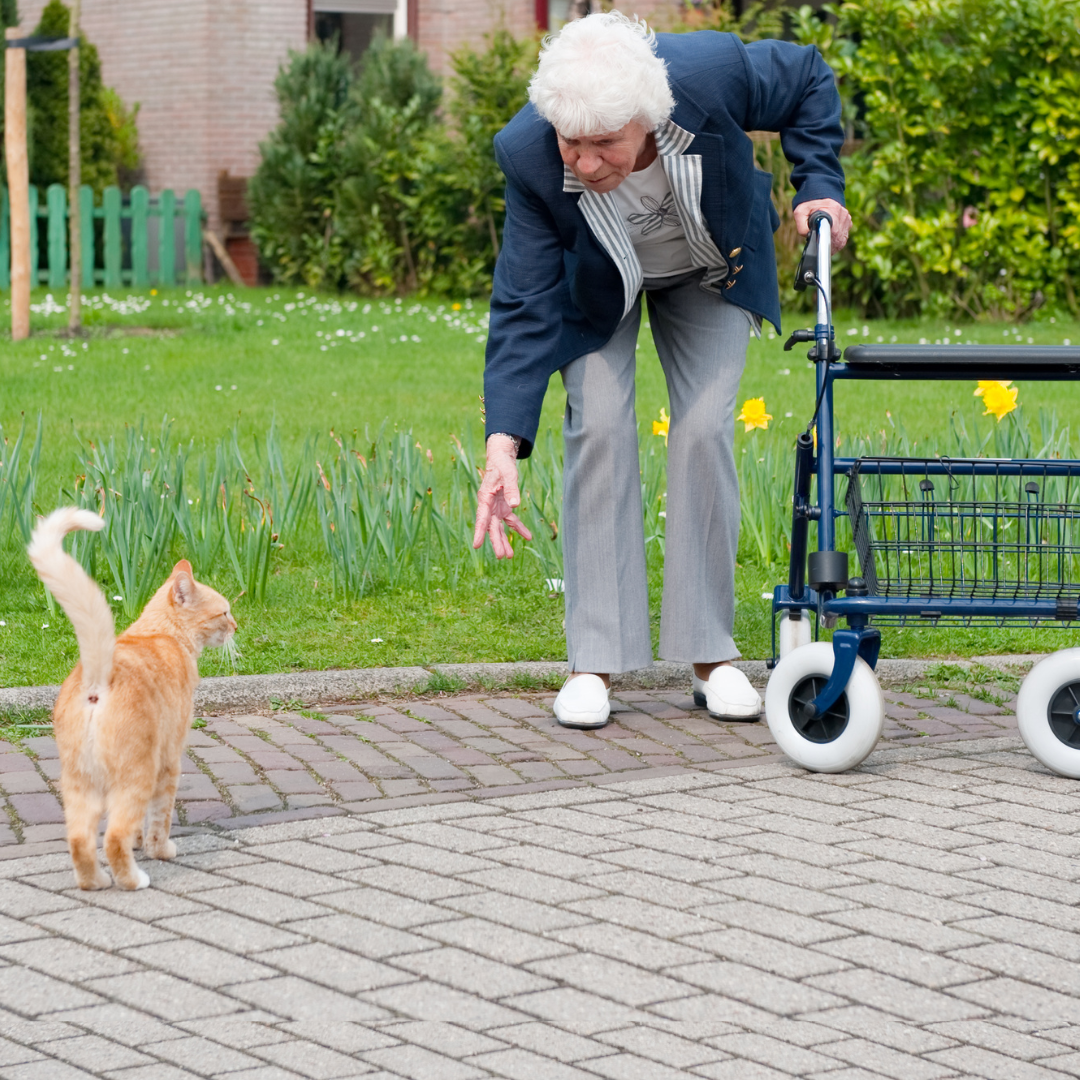 Mevrouw met rollator
