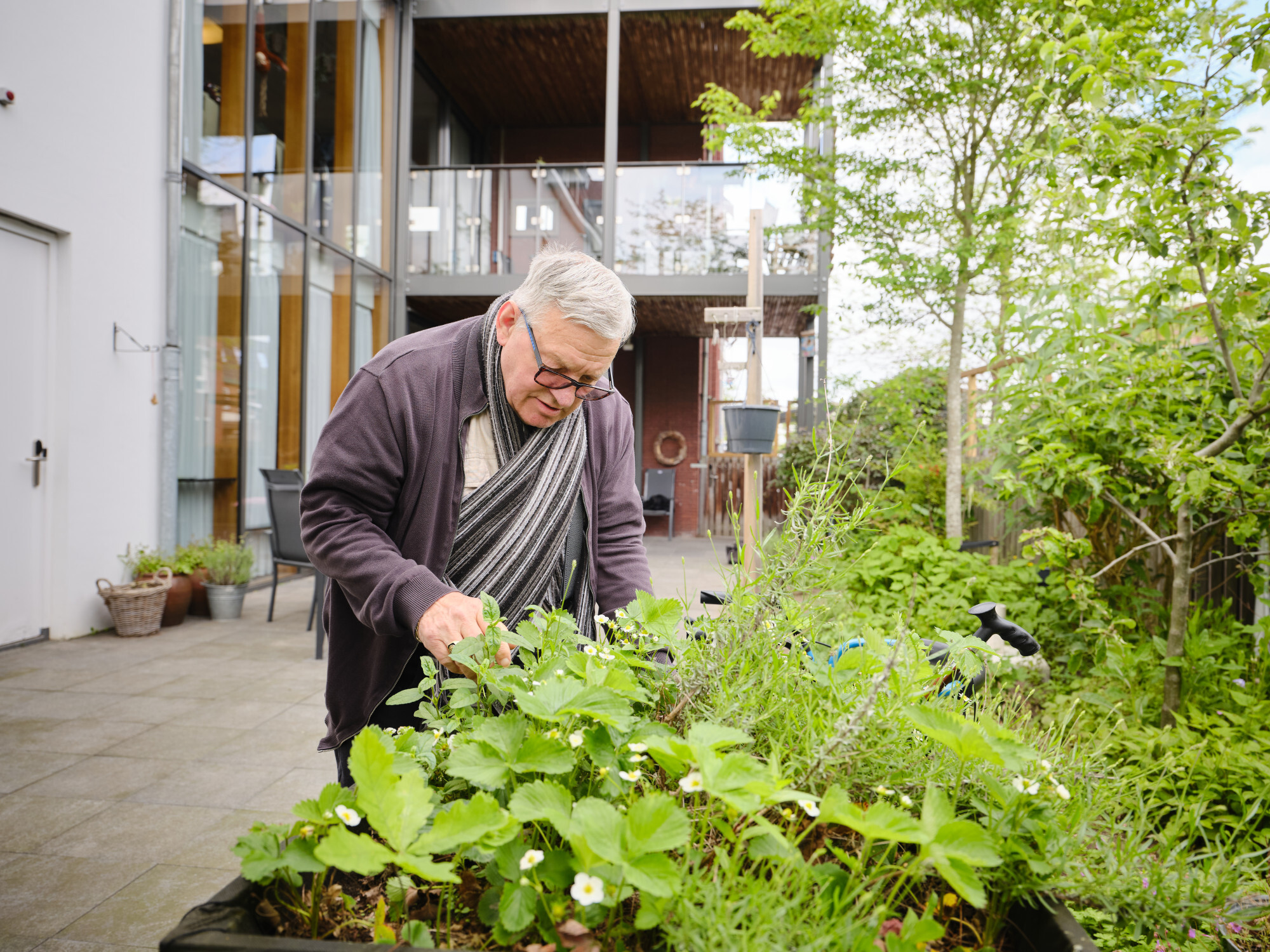 foto tuin 