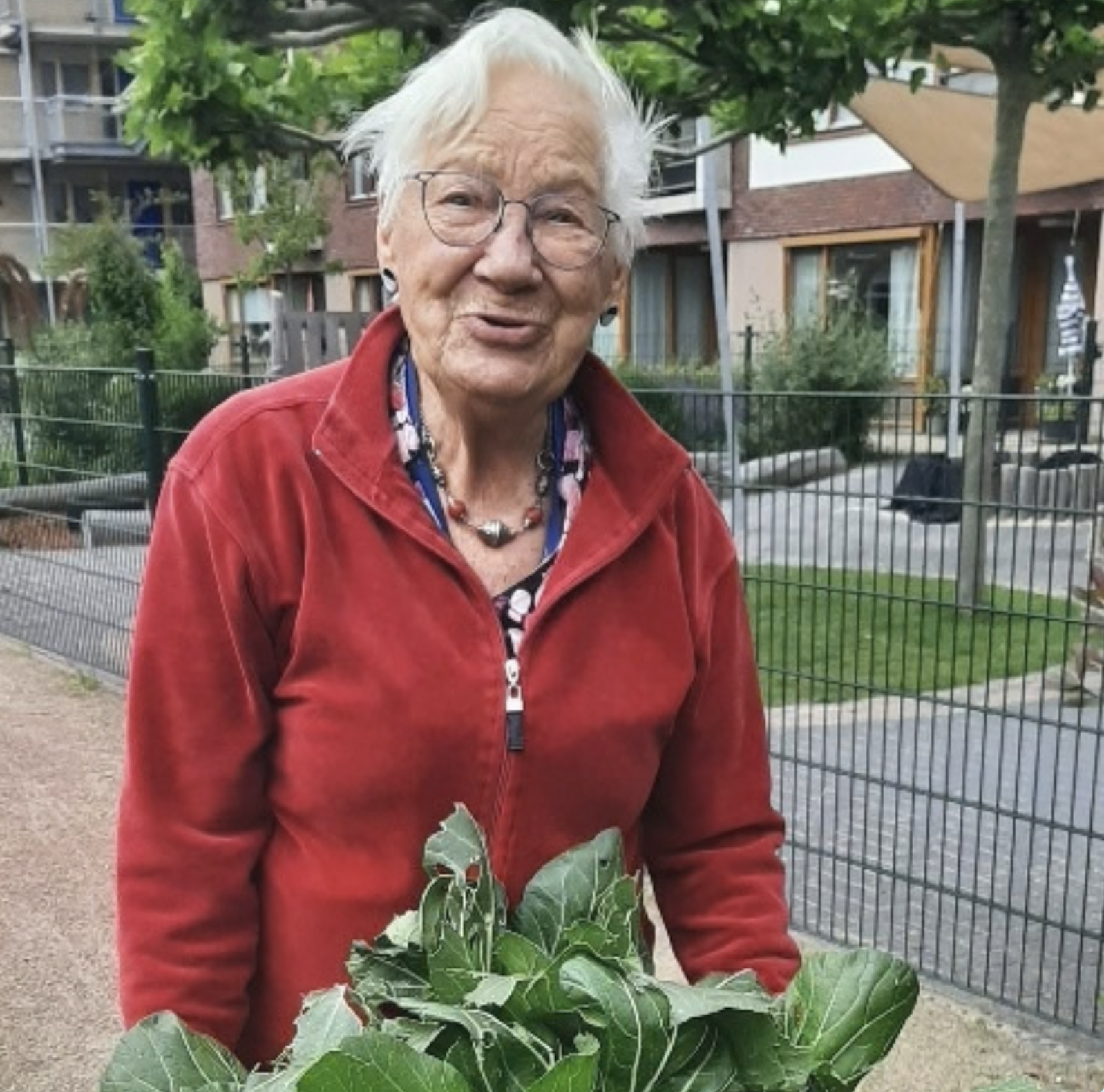 Moestuin Mevrouw